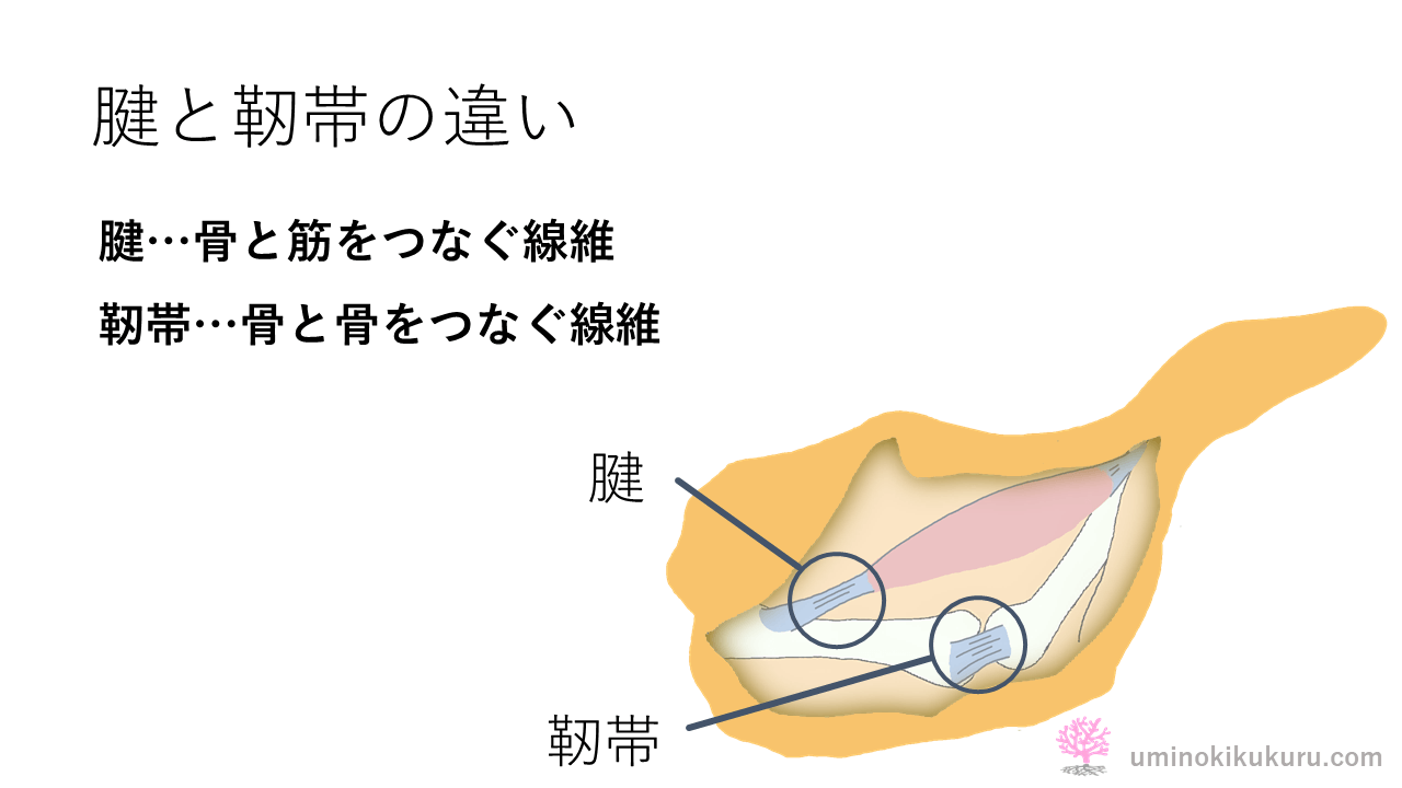 「ストレッチって通い続けないといけない？」その疑問を解決