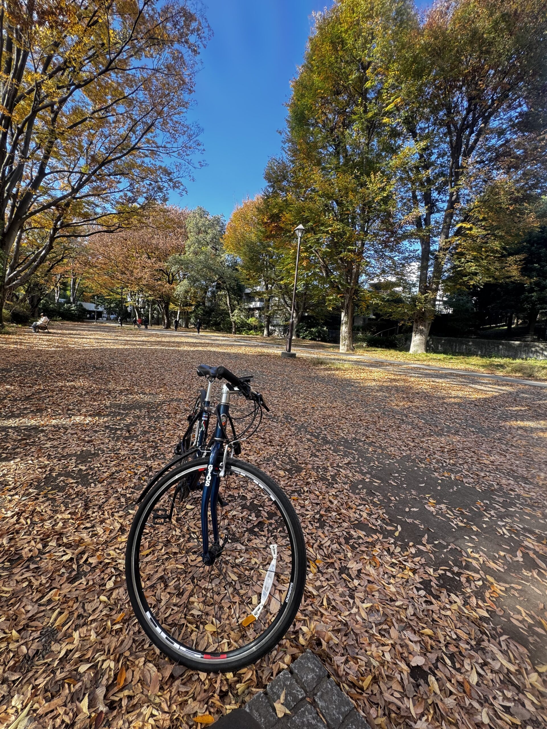 股関節がパキパキなる原因解説