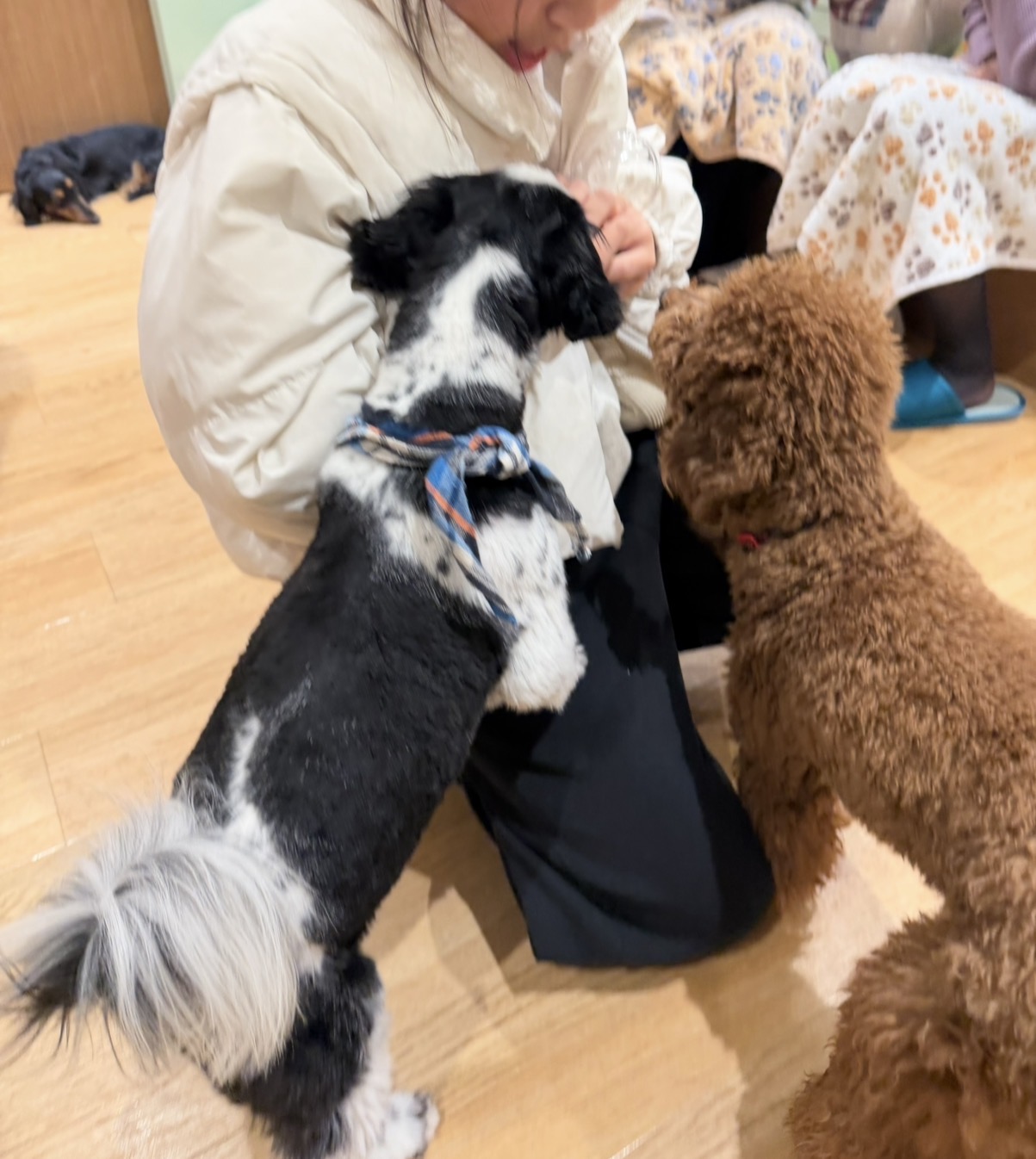 仙腸関節ってなに？